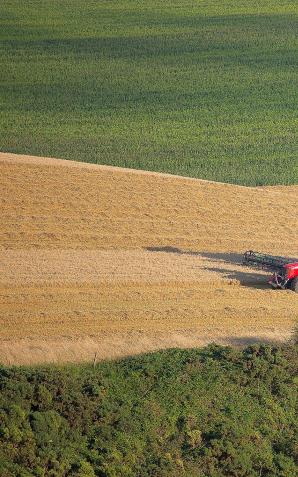 Anomalia pogodowe utrapieniem rolników